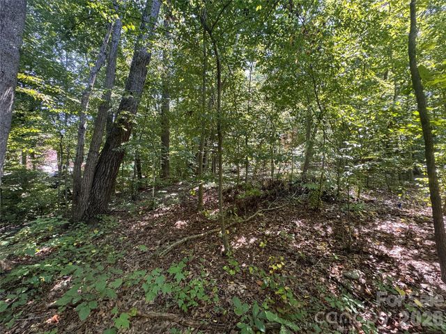 3924 Deer Run Drive NE, Conover, NC 28613