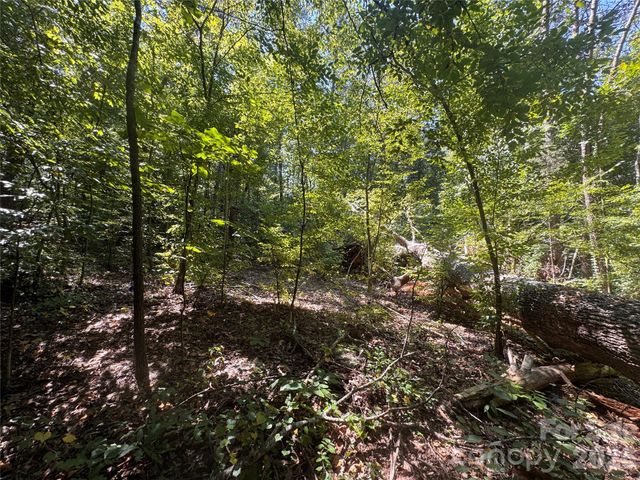 3924 Deer Run Drive NE, Conover, NC 28613