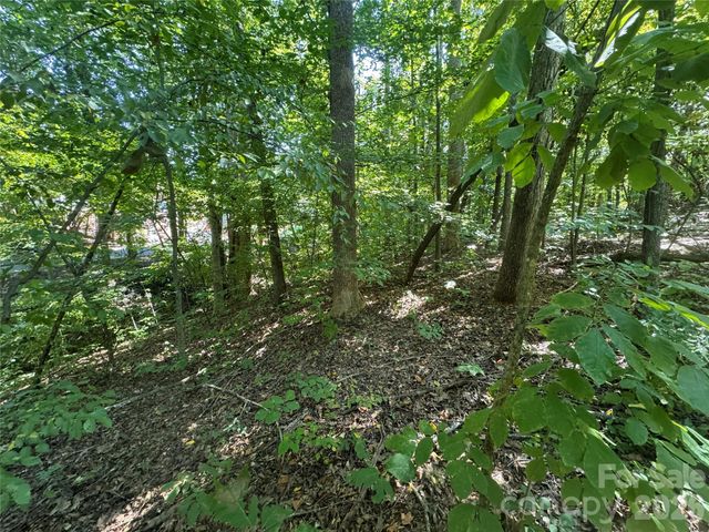 3924 Deer Run Drive NE, Conover, NC 28613