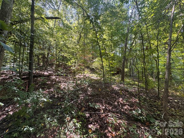 3924 Deer Run Drive NE, Conover, NC 28613