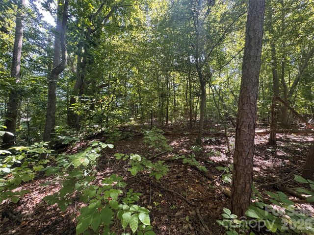 3924 Deer Run Drive NE, Conover, NC 28613