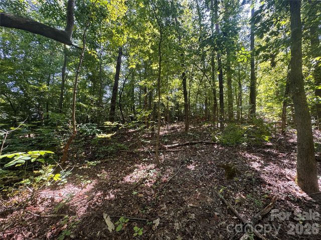 3924 Deer Run Drive NE, Conover, NC 28613