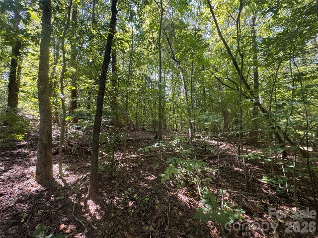 3924 Deer Run Drive NE, Conover, NC 28613