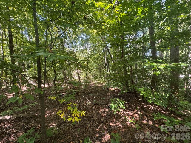 3924 Deer Run Drive NE, Conover, NC 28613