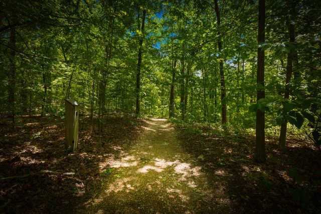 2215 Saunders Road, Ringgold, GA 30736