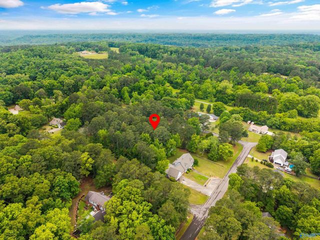 4410 Dogwood Drive SW, Decatur, AL 35603