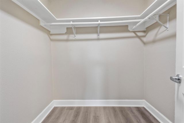 215 Acorn Tree Court, Spring, TX 77388