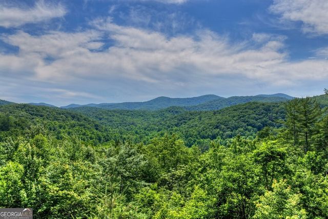 277 Hickory Nut Trail, Cherry Log, GA 30522