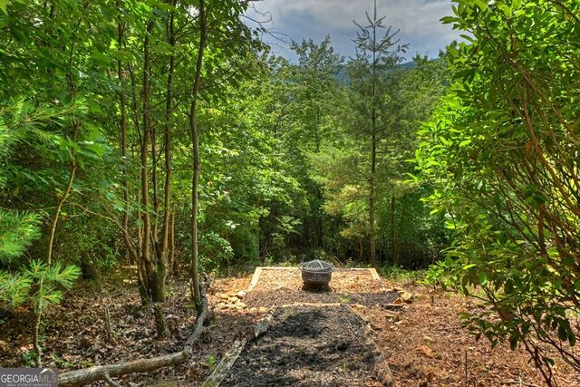 277 Hickory Nut Trail, Cherry Log, GA 30522