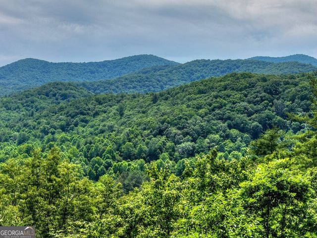 277 Hickory Nut Trail, Cherry Log, GA 30522