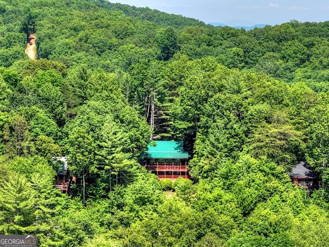 277 Hickory Nut Trail, Cherry Log, GA 30522