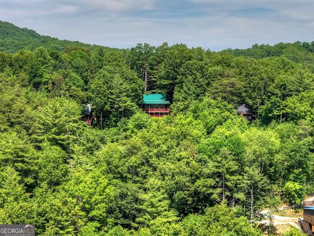 277 Hickory Nut Trail, Cherry Log, GA 30522
