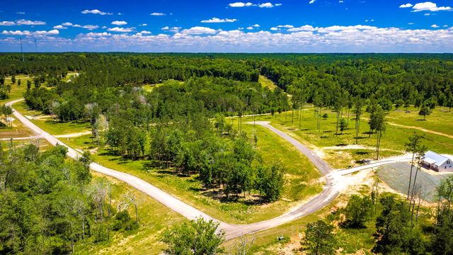 TBD Lot 15 - Addison Road, Livingston, TX 77351