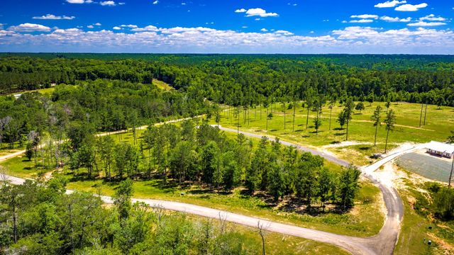 TBD Lot 15 - Addison Road, Livingston, TX 77351