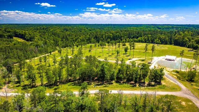 TBD Lot 15 - Addison Road, Livingston, TX 77351