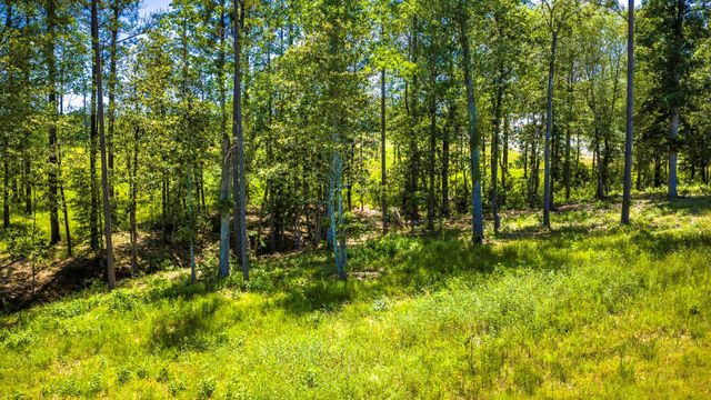 TBD Lot 15 - Addison Road, Livingston, TX 77351