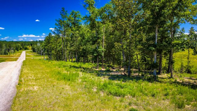 TBD Lot 15 - Addison Road, Livingston, TX 77351