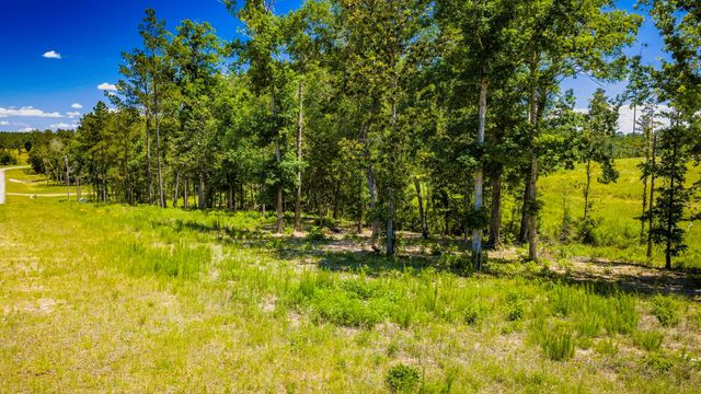 TBD Lot 15 - Addison Road, Livingston, TX 77351