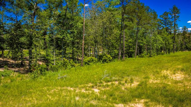 TBD Lot 15 - Addison Road, Livingston, TX 77351