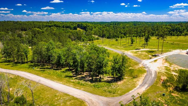 TBD Lot 15 - Addison Road, Livingston, TX 77351