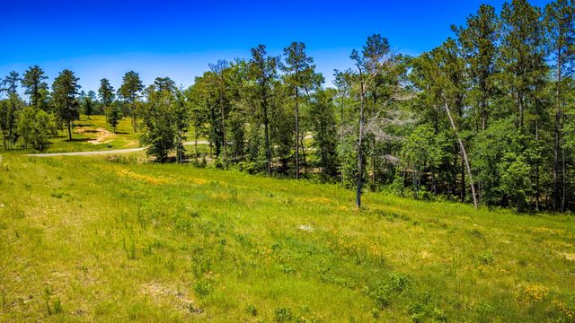 TBD Lot 15 - Addison Road, Livingston, TX 77351