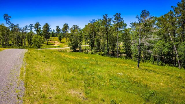 TBD Lot 15 - Addison Road, Livingston, TX 77351
