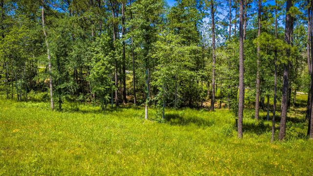 TBD Lot 15 - Addison Road, Livingston, TX 77351