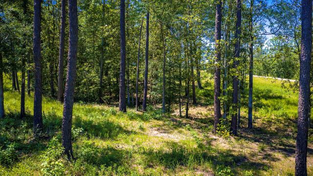 TBD Lot 15 - Addison Road, Livingston, TX 77351