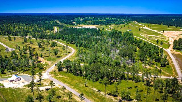 TBD Lot 15 - Addison Road, Livingston, TX 77351