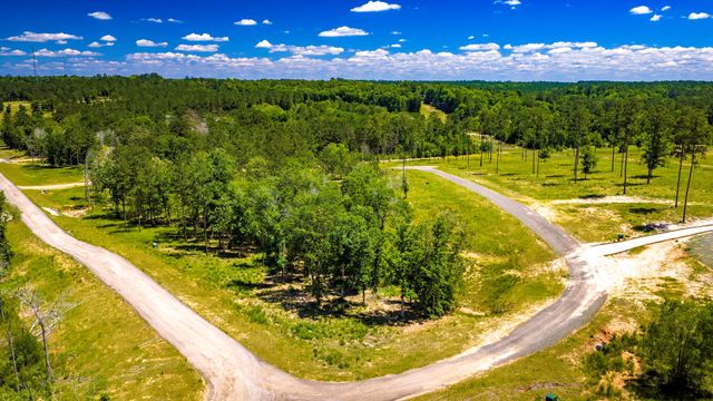 TBD Lot 15 - Addison Road, Livingston, TX 77351