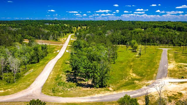 TBD Lot 15 - Addison Road, Livingston, TX 77351