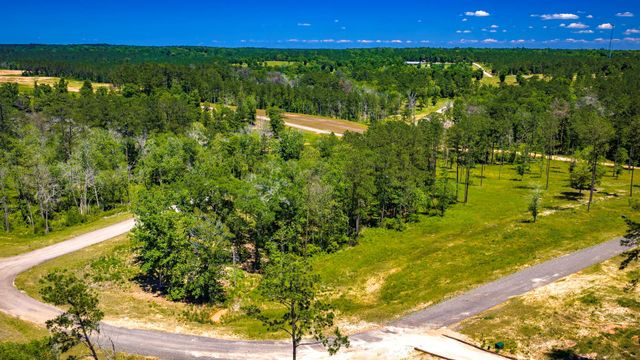 TBD Lot 15 - Addison Road, Livingston, TX 77351