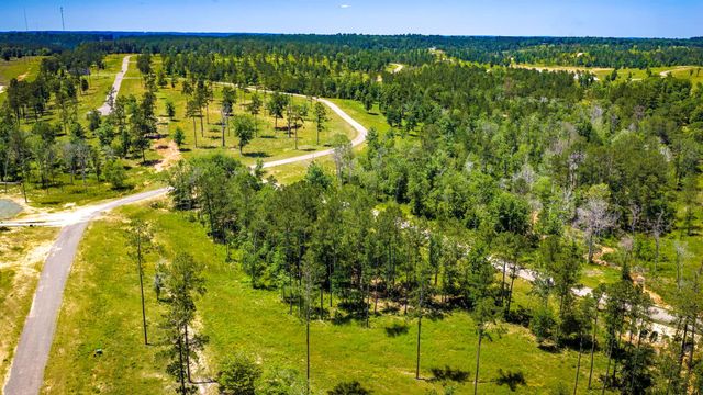 TBD Lot 15 - Addison Road, Livingston, TX 77351