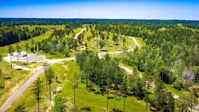 TBD Lot 15 - Addison Road, Livingston, TX 77351