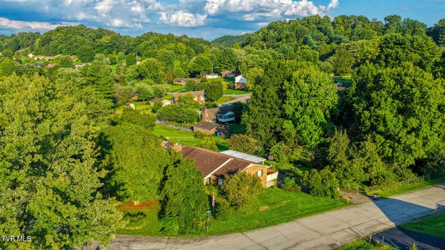 720 Redwood Drive, Mount Carmel, TN 37645