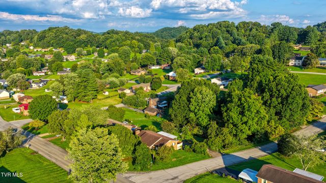 720 Redwood Drive, Mount Carmel, TN 37645
