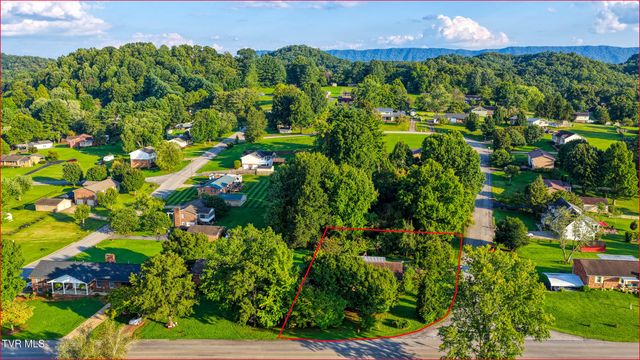 720 Redwood Drive, Mount Carmel, TN 37645
