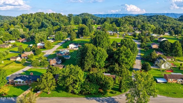 720 Redwood Drive, Mount Carmel, TN 37645