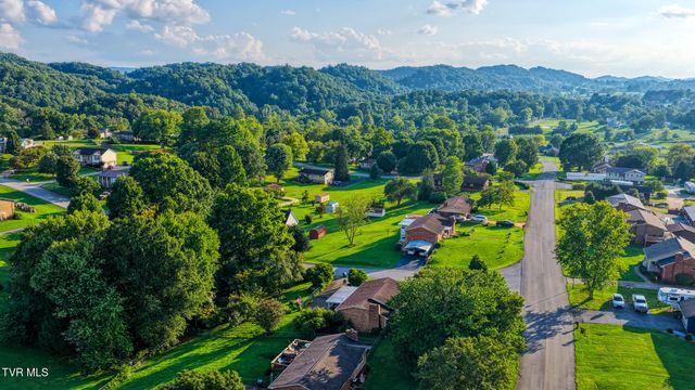 720 Redwood Drive, Mount Carmel, TN 37645