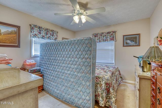 720 Redwood Drive, Mount Carmel, TN 37645