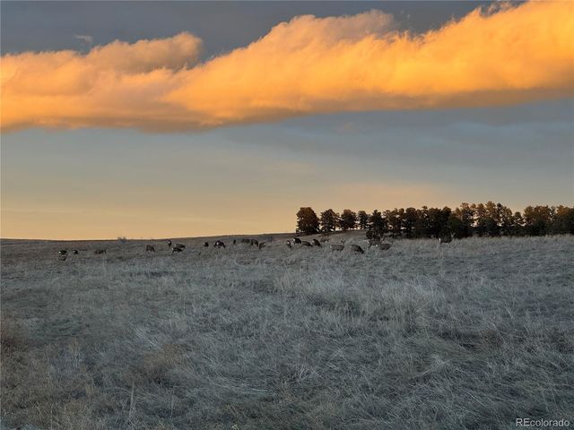 0 Easygoing Street, Kiowa, CO 80117