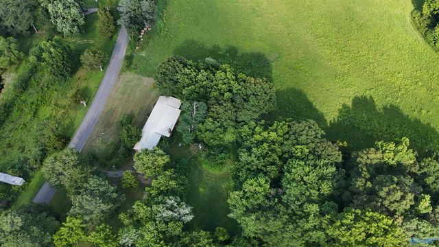 2800 Brashiers Chapel Road, Arab, AL 36016