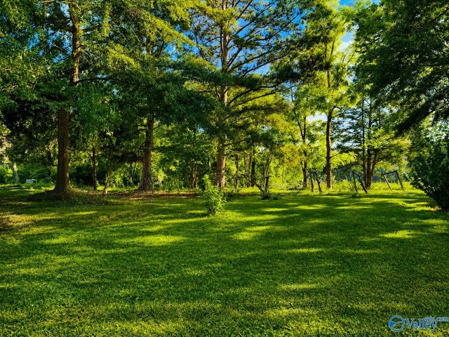 2800 Brashiers Chapel Road, Arab, AL 36016