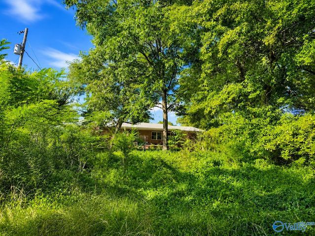 2800 Brashiers Chapel Road, Arab, AL 36016