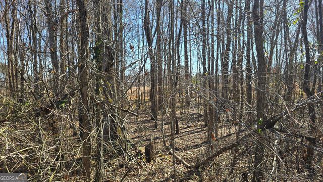 1110 Spring Creek Circle, Griffin, GA 30223