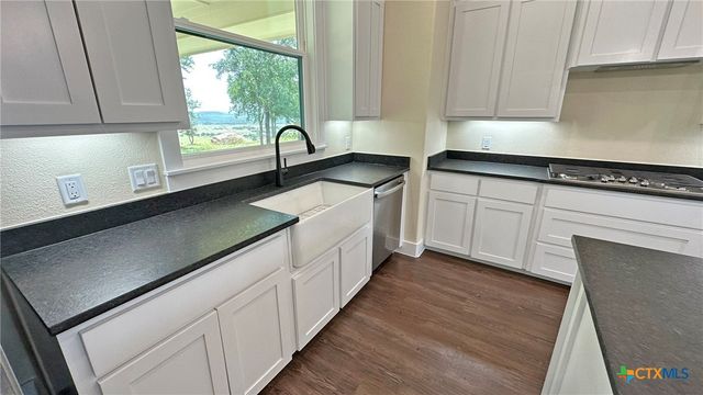 1725 Cottonwood Mesa Drive, Kempner, TX 76539