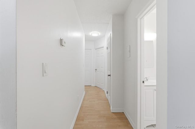 24 Palmetto Street, Brooklyn, NY 11221