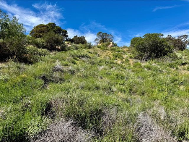 37685 El Tigre, Murrieta, CA 92562