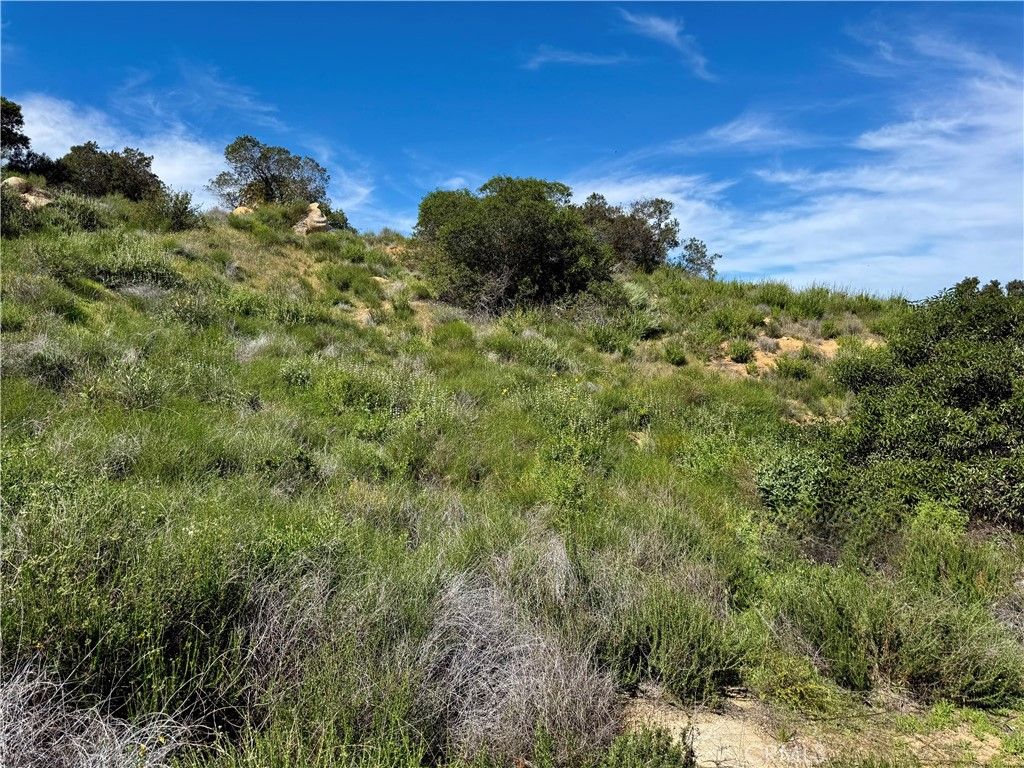 Image 19 of property listing at 37685 El Tigre, Murrieta, CA 92562