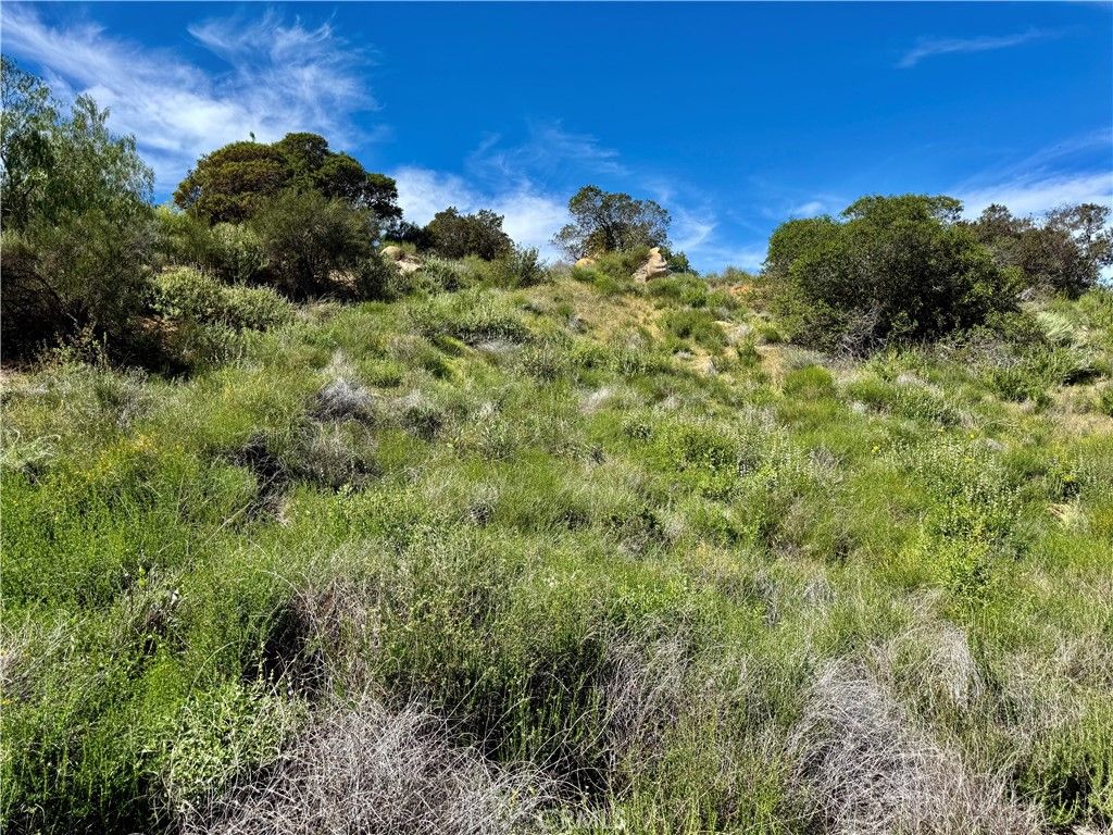 Image 8 of property listing at 37685 El Tigre, Murrieta, CA 92562